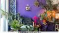 Wohnzimmer – Impressionen – Farben und Pflanzen